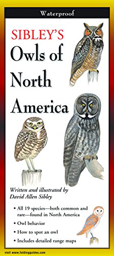 Stock image for Sibleys Owls of North America (Foldingguides) for sale by Seattle Goodwill