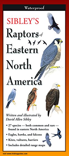 Beispielbild fr Earth Sky + Water FoldingGuide - Sibleys Raptors of Eastern North America - 10 Panel Foldable Laminated Nature Identification Guide zum Verkauf von BooksRun