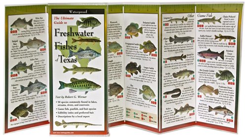 Beispielbild fr Freshwater Fishes of Texas: Folding Guide (Foldingguides) zum Verkauf von Save With Sam