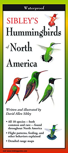 Stock image for Sibley's Hummingbirds of North America (Foldingguides) for sale by SecondSale