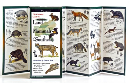 Imagen de archivo de Land Mammals of the Southeast: Folding Guide (Foldingguides) [Paperback] Reid, Fiona a la venta por Lakeside Books