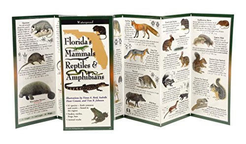 Imagen de archivo de Florida's Mammals, Reptiles, and Amphibians: Folding Guide (Foldingguides) a la venta por Save With Sam