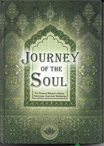 Beispielbild fr Journey of the Soul zum Verkauf von WorldofBooks