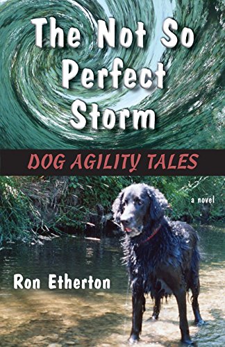 Stock image for The Not So Perfect Storm: Dog Agility Tales for sale by OceanwaveBooks