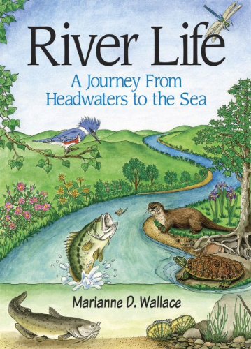 Beispielbild fr River Life: A Journey from Headwaters to the Sea zum Verkauf von Book Deals