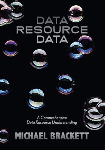 Stock image for Data Resource Data: A Comprehensive Data Resource Understanding for sale by Lakeside Books