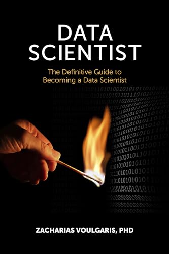 Imagen de archivo de Data Scientist: The Definitive Guide to Becoming a Data Scientist a la venta por WorldofBooks