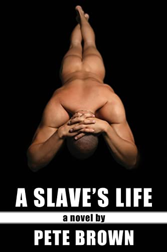 Beispielbild fr A Slave's Life zum Verkauf von medimops