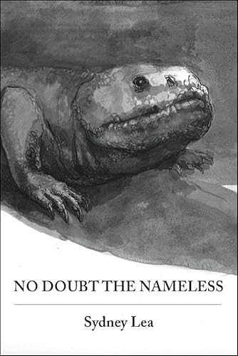 Imagen de archivo de No Doubt the Nameless a la venta por The Enigmatic Reader