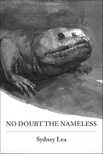 Stock image for No Doubt the Nameless for sale by The Enigmatic Reader