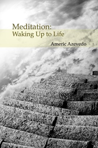 9781935551034: Meditation: Waking Up to Life