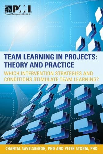 Stock image for Team Learning in Projects: Theory and Practice for sale by Revaluation Books