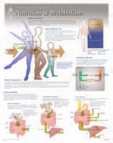 Nutrition & Metabolism Wall Chart: 8650 (9781935612193) by [???]