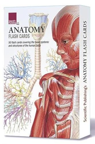 Beispielbild fr Anatomy Flash Cards zum Verkauf von Buchpark