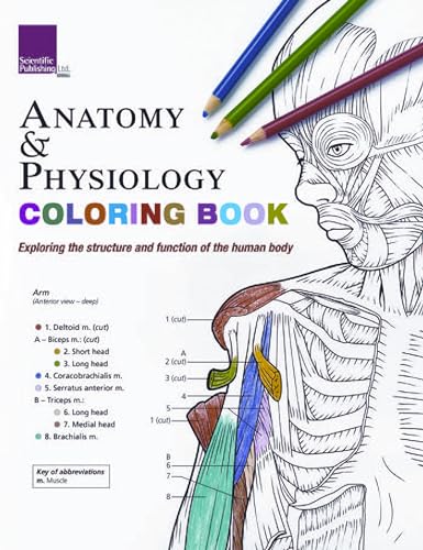 Stock image for Anatomy & Physiology Coloring Book for sale by BooksRun