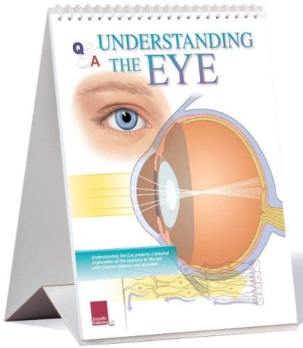 Stock image for Understanding The Eye Flip Chart for sale by Kennys Bookshop and Art Galleries Ltd.