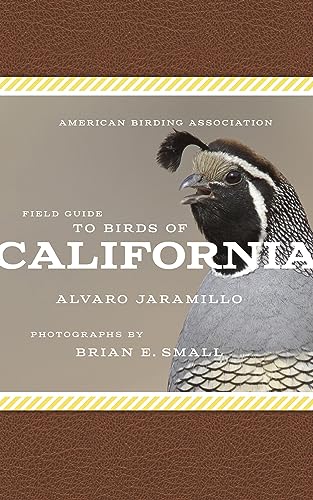 Stock image for American Birding Association F for sale by SecondSale