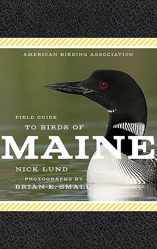 Imagen de archivo de American Birding Association Field Guide to Birds of Maine (American Birding Association State Field) [Paperback] Lund, Nick a la venta por Lakeside Books