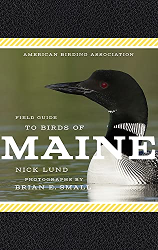 Stock image for American Birding Association Field Guide to Birds of Maine (American Birding Association State Field) [Paperback] Lund, Nick for sale by Lakeside Books