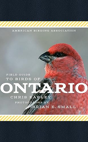 Beispielbild fr American Birding Association Field Guide to Birds of Ontario zum Verkauf von Blackwell's