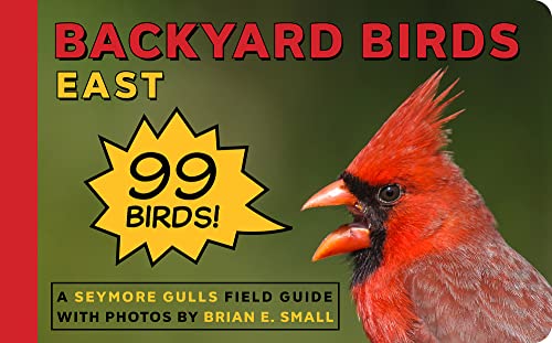Beispielbild fr Backyard Birds zum Verkauf von Blackwell's