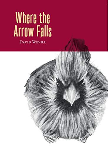 9781935635598: Where the Arrow Falls