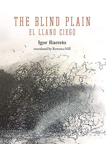 Stock image for The Blind Plain for sale by JR Books