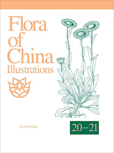 9781935641094: Flora of China Illustrations: Asteraceae