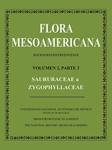 Stock image for Flora Mesoamericana, Volumen 2, Parte 3   Saururceae a Zygophyllaceae for sale by Revaluation Books