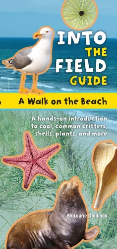 Beispielbild fr A Walk on the Beach : Into the Field Guide zum Verkauf von Better World Books