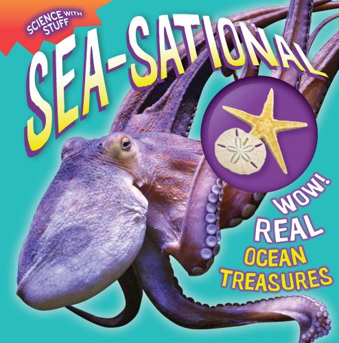 9781935703556: Sea-Sational: Volume 5 (Science With Stuff)