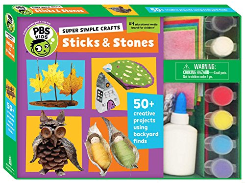 9781935703846: Super Simple Crafts: Sticks and Stones (Volume 1)