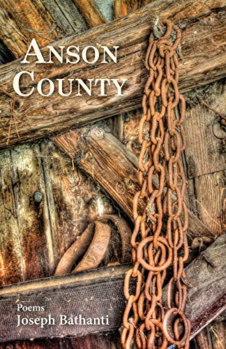 Stock image for Anson County for sale by BooksRun