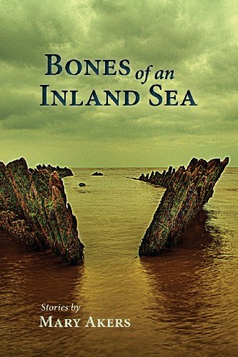 Beispielbild fr Bones of an Inland Sea zum Verkauf von Books From California