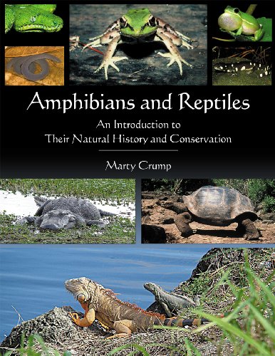 9781935778202: Amphibians & Reptiles: An Introduction to Their Natural History & Conservation
