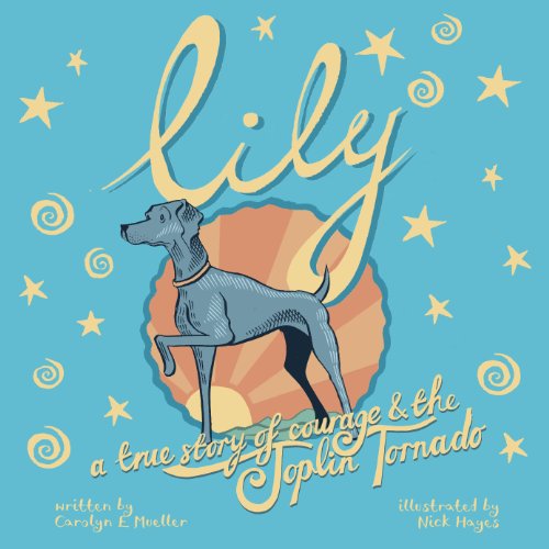 Stock image for Lily: A True Story of Courage and the Joplin Tornado for sale by SecondSale