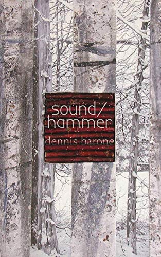 Imagen de archivo de Sound/Hammer a la venta por Housing Works Online Bookstore