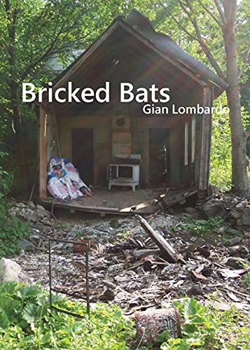 Imagen de archivo de Bricked Bats a la venta por Lucky's Textbooks
