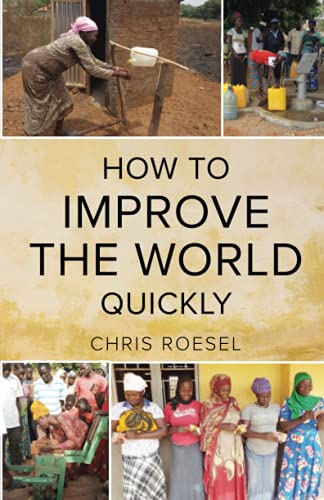 Beispielbild fr How to Improve the World Quickly zum Verkauf von Michael Knight, Bookseller