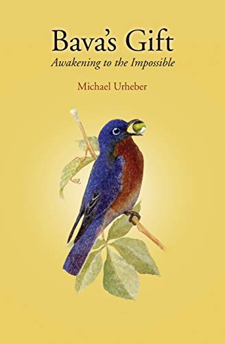 Beispielbild fr Bava's Gift: Awakening to the Impossible zum Verkauf von BooksRun