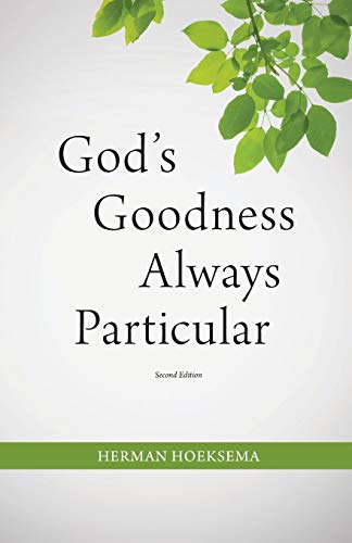 Stock image for God's Goodness Always Particular for sale by HPB-Diamond