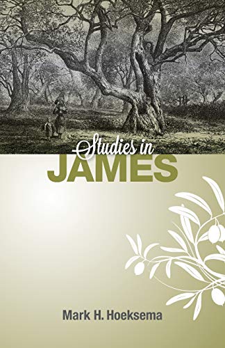 Stock image for Studies in James for sale by GreatBookPrices