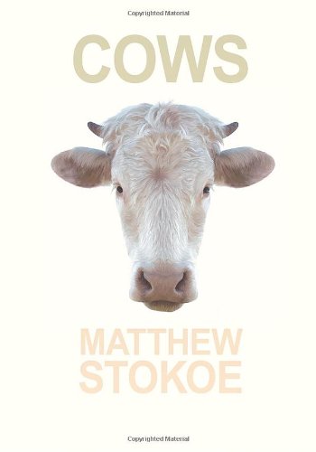 9781936070701: Cows (Little House on the Bowery)