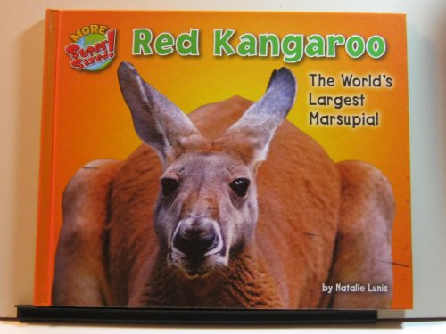 Stock image for Red Kangaroo : The World's Largest Marsupial for sale by Better World Books: West