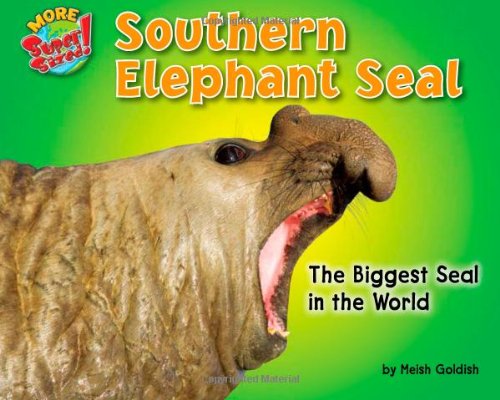 Imagen de archivo de Southern Elephant Seal : The Biggest Seal in the World a la venta por Better World Books