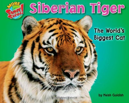 9781936087280: Siberian Tiger: The World's Biggest Cat (More Supersized!)