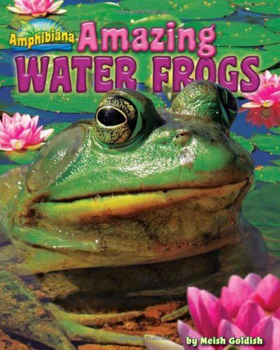 Amazing Water Frogs (Amphibiana) (9781936087341) by Goldish, Meish