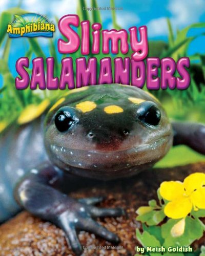 9781936087372: Slimy Salamanders (Amphibiana)
