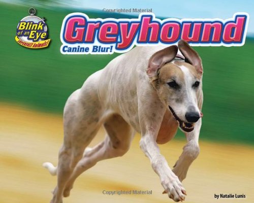 Beispielbild fr Greyhound : Canine Blur! zum Verkauf von Better World Books