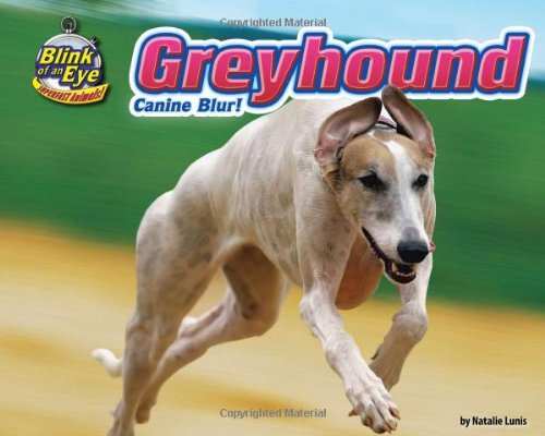 9781936087907: Greyhound: Canine Blur! (Blink of an Eye: Superfast Animals)